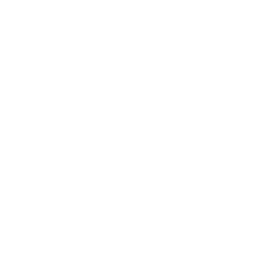 Raspberry Pi white logo