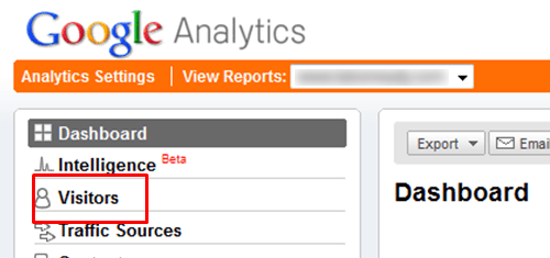 Image showing Google Analytics with a red box around visitors