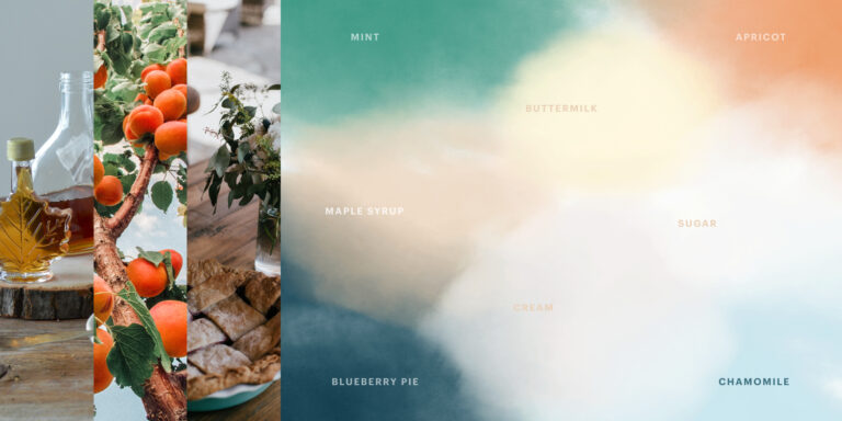 inspiration pictures of glass bottles of maple syrup, a branch of an apricot tree heavy with fruit, and a pie on a table, next to watercolor shapes in the social solutions brand colors, labeled mint, buttermilk, apricot, maple syrup, sugar, cream, blueberry pie and chamomile. 