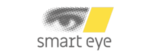Walker Sands automotive tech client logo 2