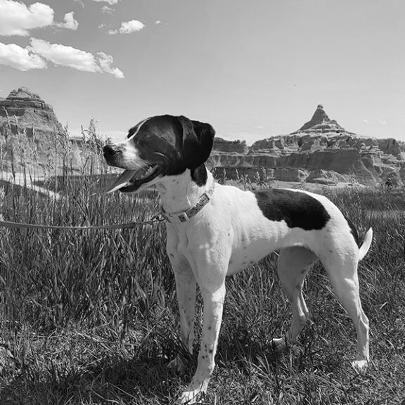 Maddie Kalfas sidebar2
