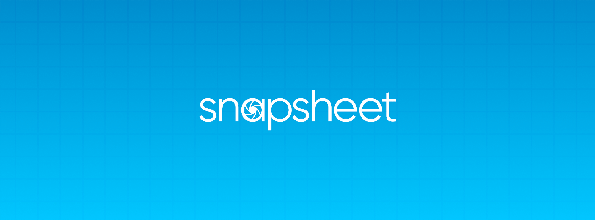 the snapsheet logo in white on a light blue ground with dark blue gridlines