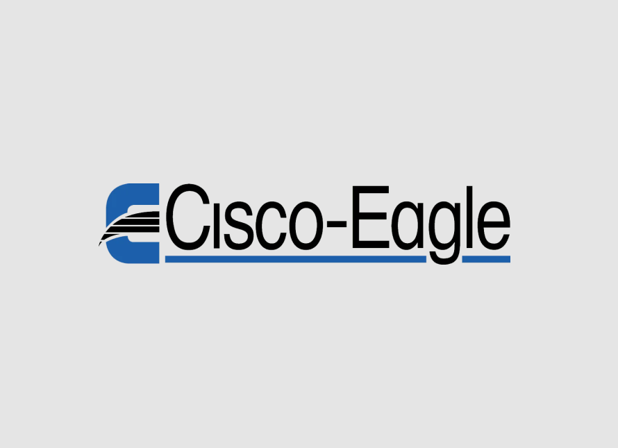Cisco-Eagle case study card image