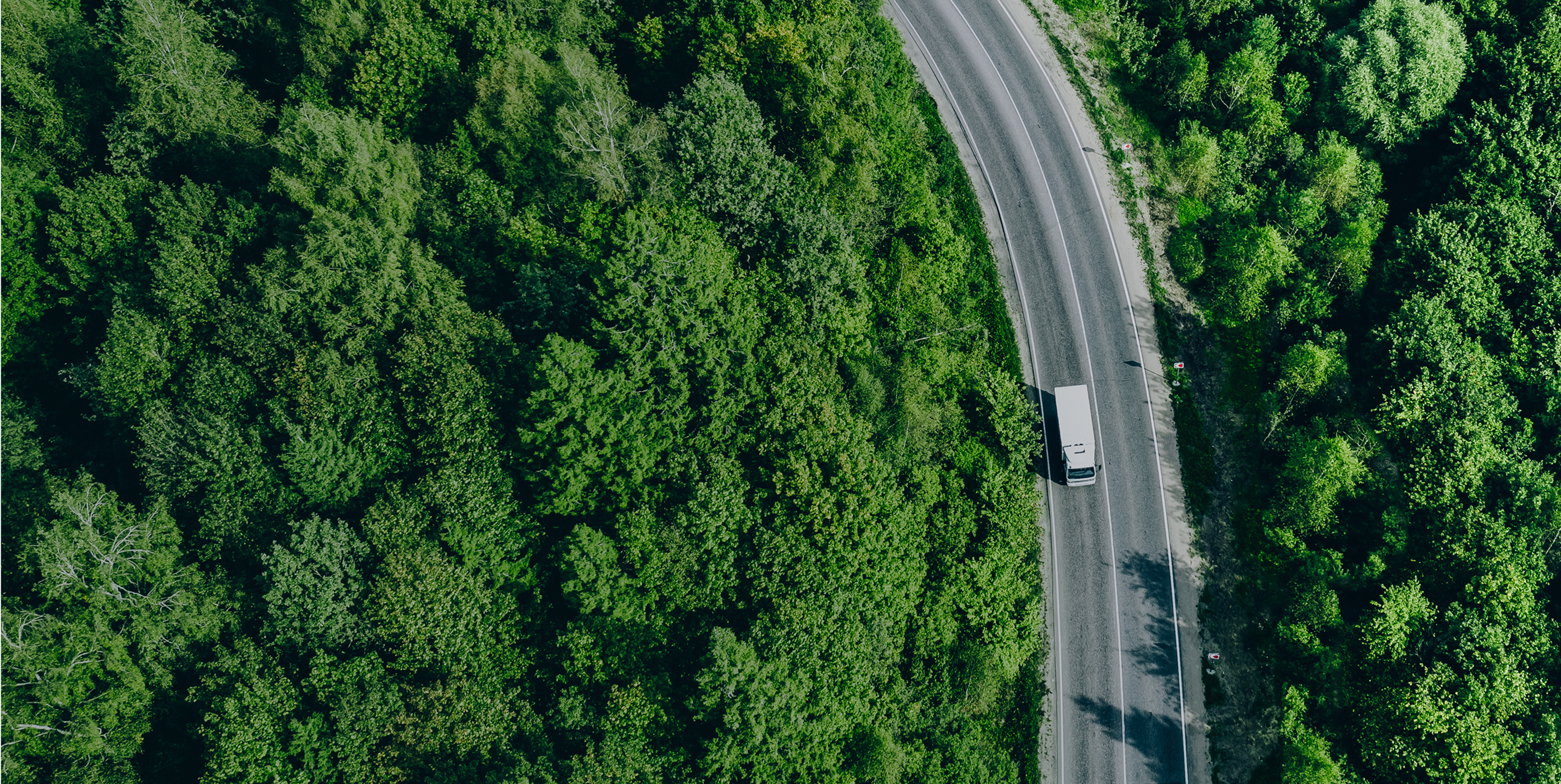 Truck driving through wooded area